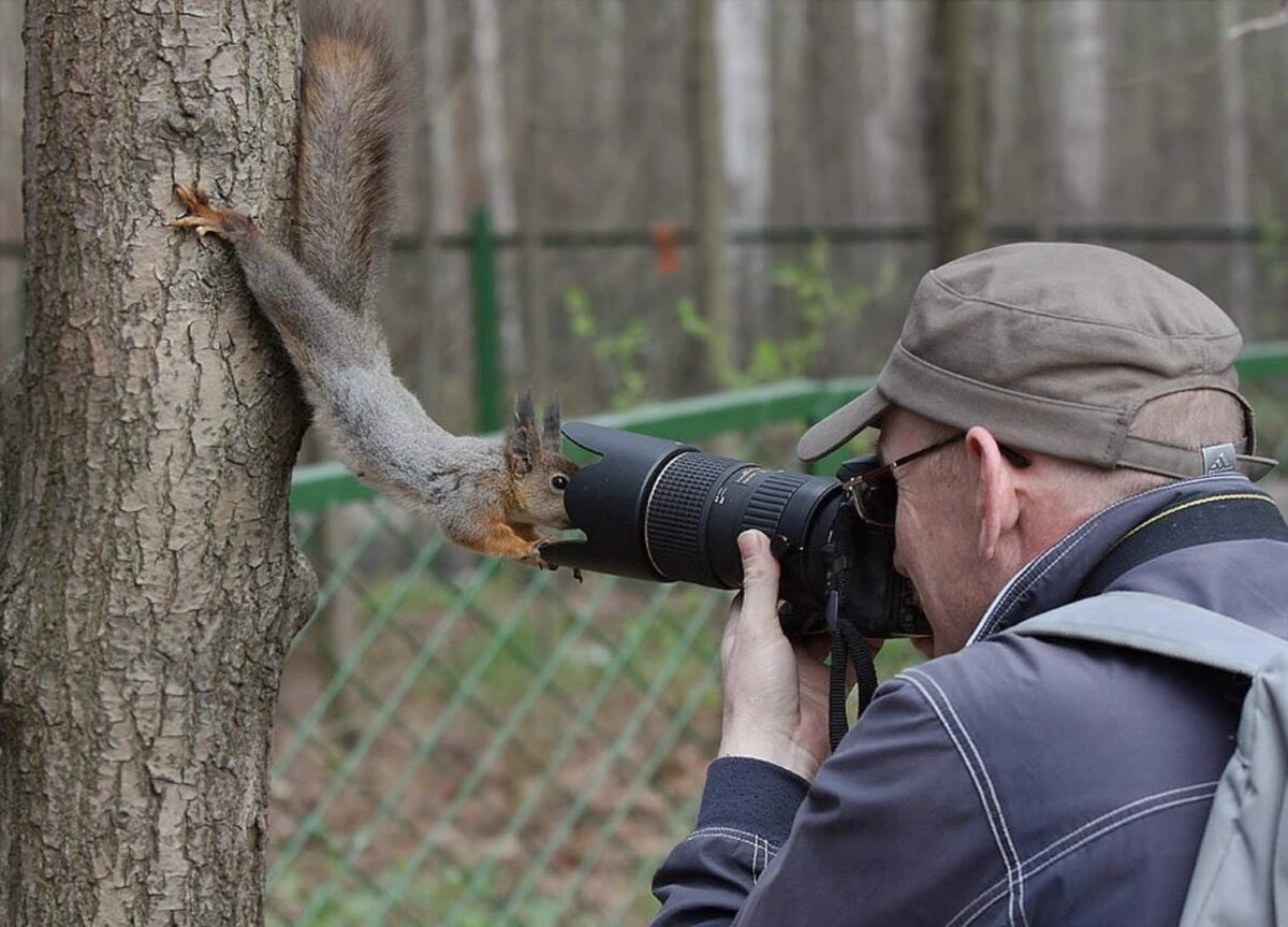 Юмор в картинках и фотографиях