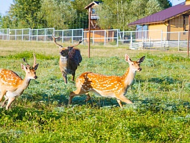 Фотогалерея